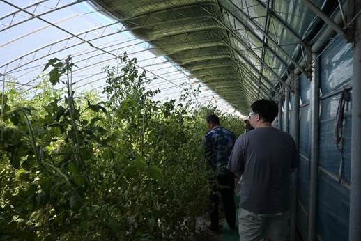 ea022447d35422ea92c325e1a022915